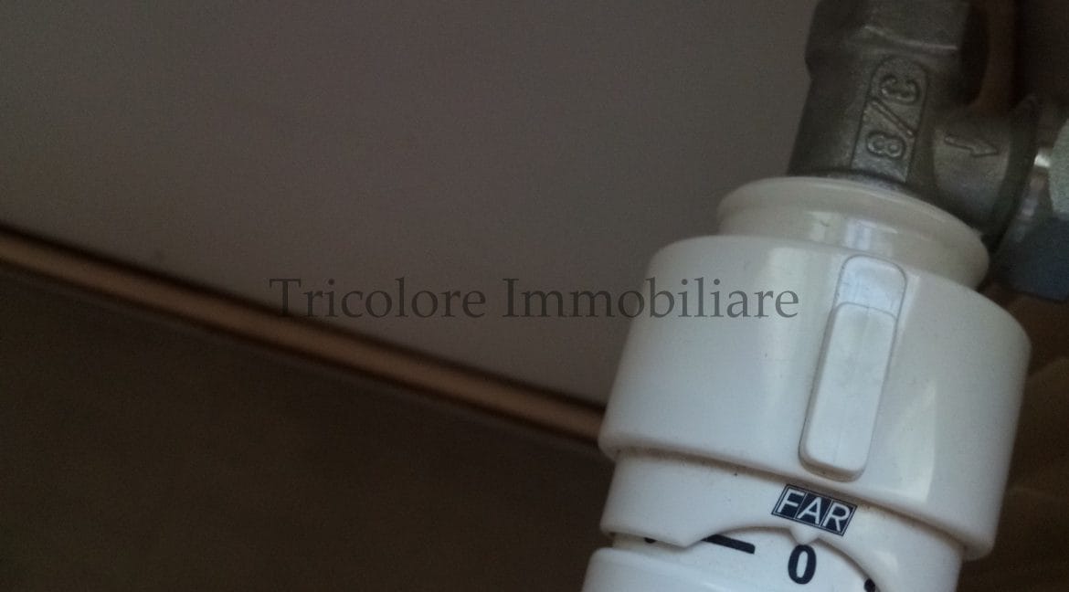 IMG_20250517_100500_077