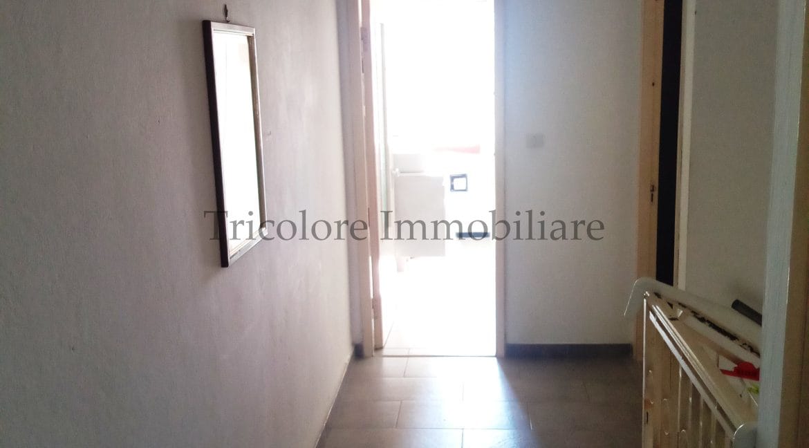 IMG_20250517_100559_027