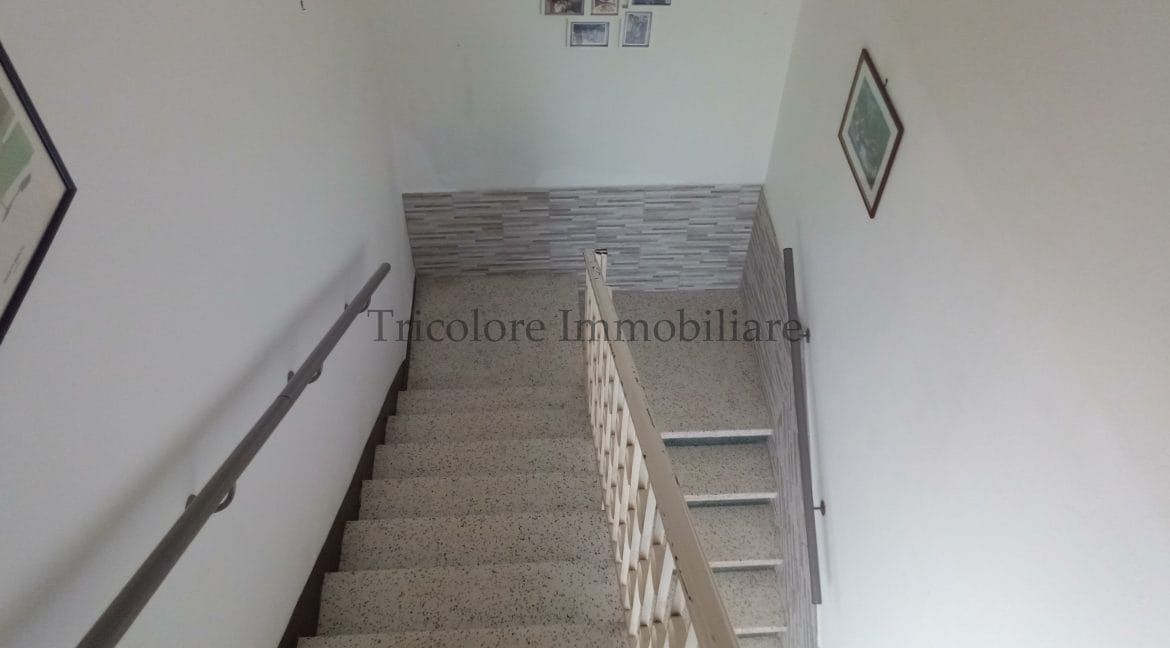 IMG_20250517_100634_997