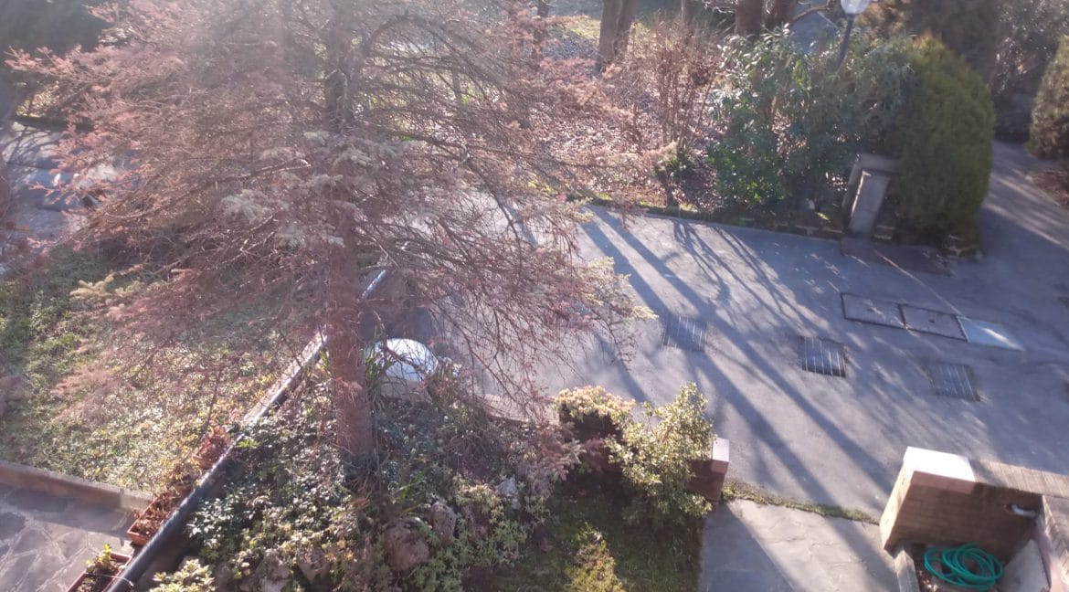 WhatsApp Image 2023-01-30 at 16.19.51 (2)