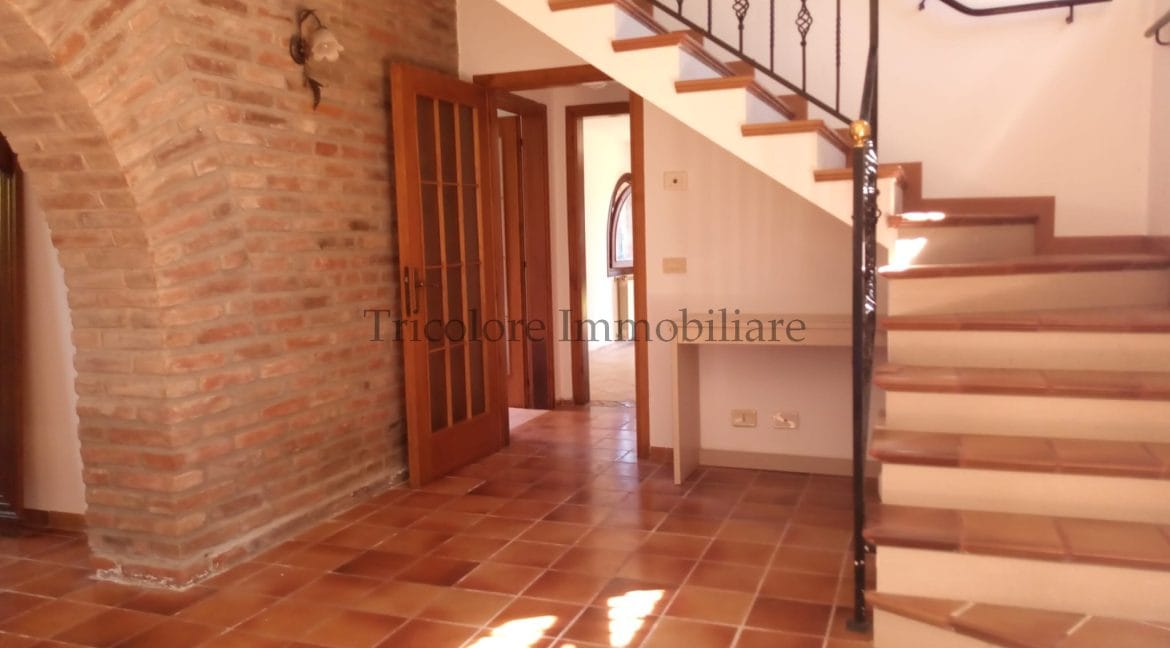 WhatsApp Image 2024-07-27 at 10.07.38