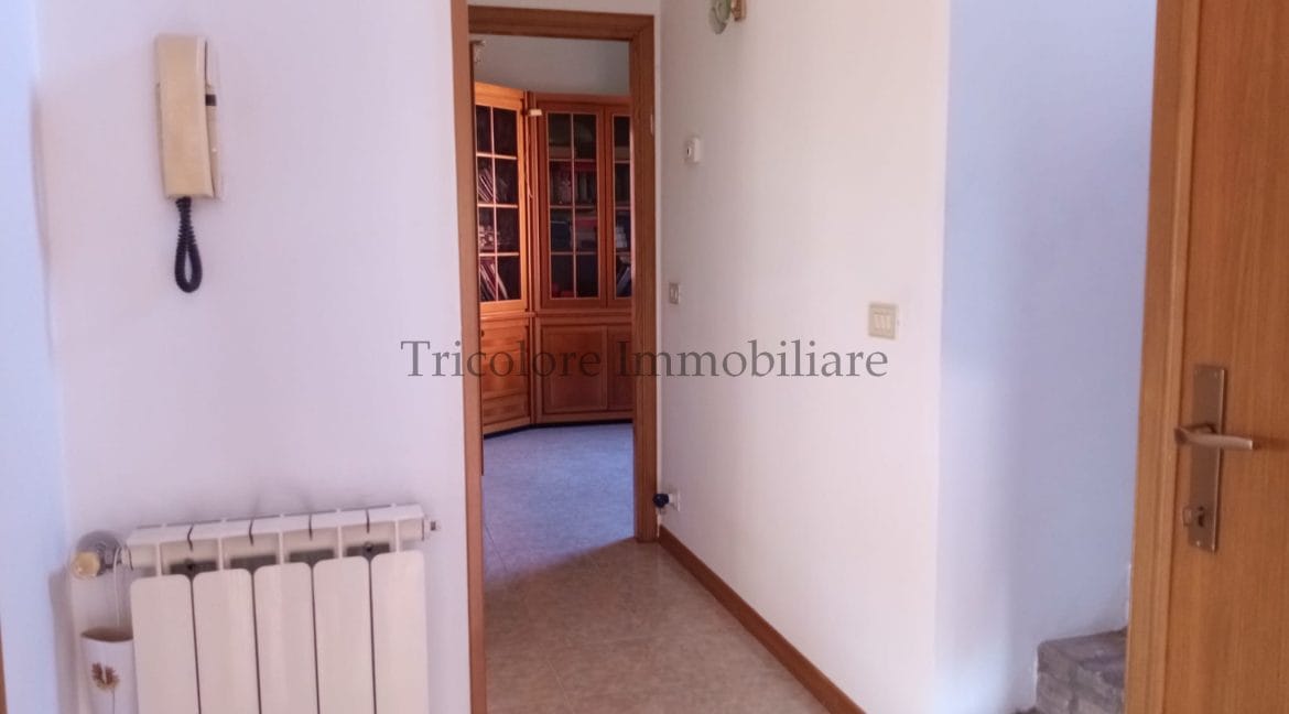 WhatsApp Image 2024-07-27 at 10.07.58