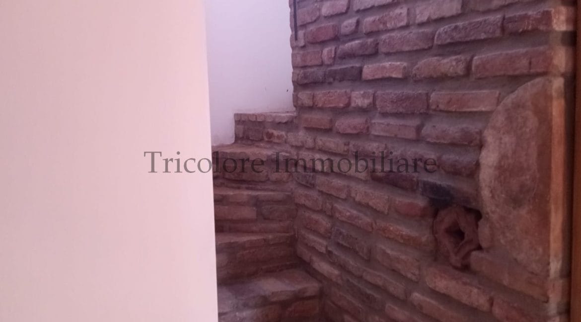 WhatsApp Image 2024-07-27 at 10.08.19