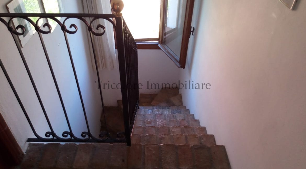 WhatsApp Image 2024-07-27 at 10.08.22